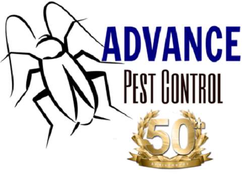 Jobs in Advance Pest Control - reviews